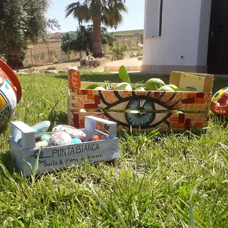 住宿加早餐酒店 Punta Bianca & Experience 4*