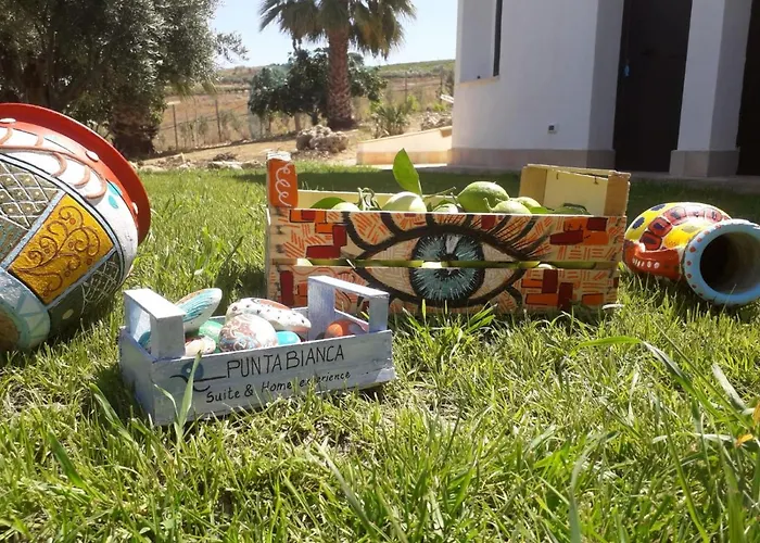 فندق مبيت وإفطار Punta Bianca & Experience 4*